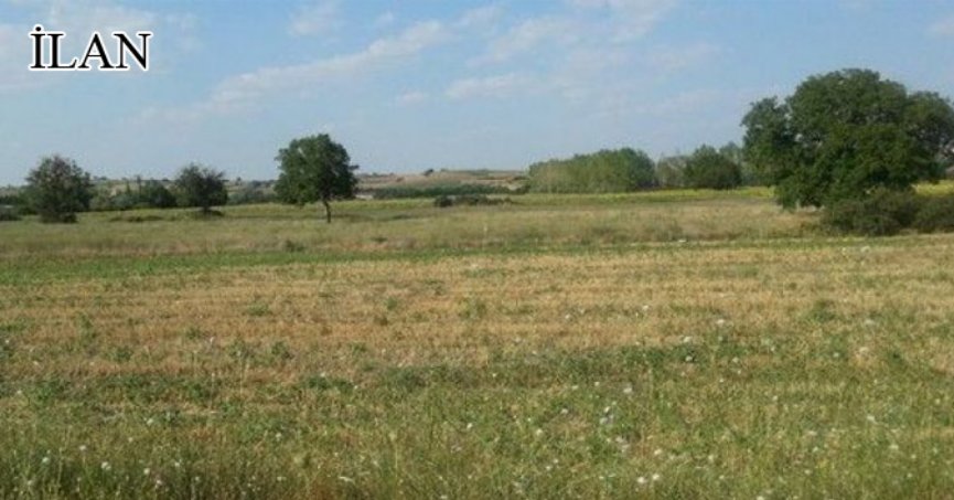 Yalova’da mahkemeden satılık arsa(çoklu satış)