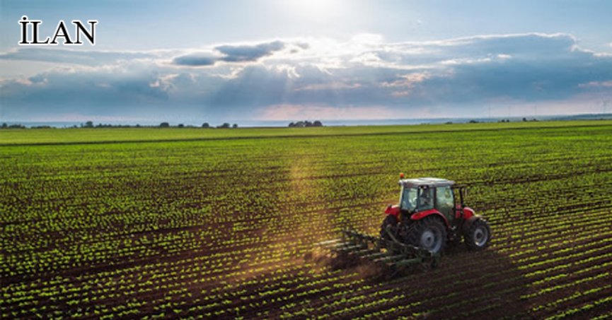 İzmit'te mahkemeden satılık tarla(çoklu satış)