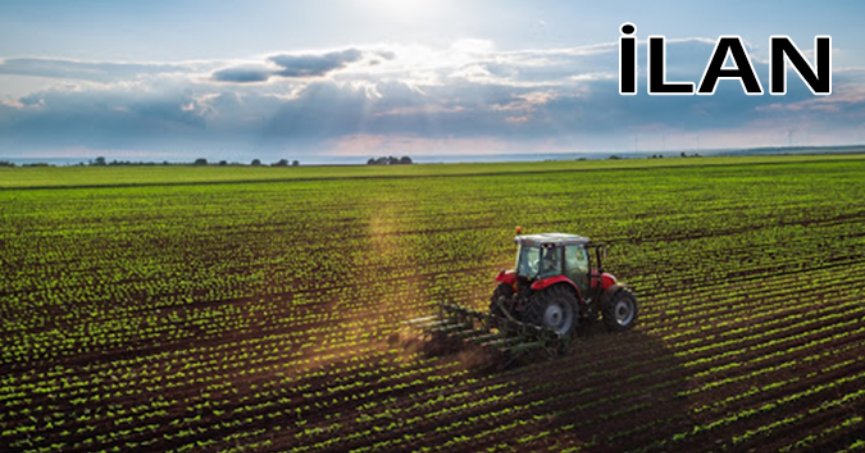 İzmit'te mahkemeden satılık 963 m² tarla