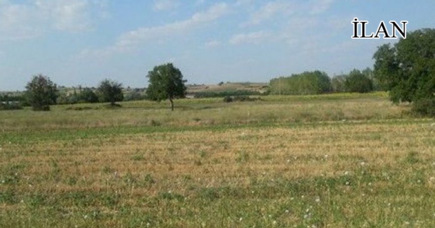 Altınova'da icradan satılık 455 m² arsa