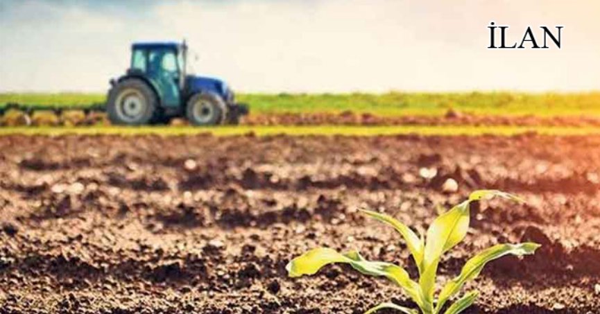 Sakarya’da icradan satılık üzerinde yapı olan tarla