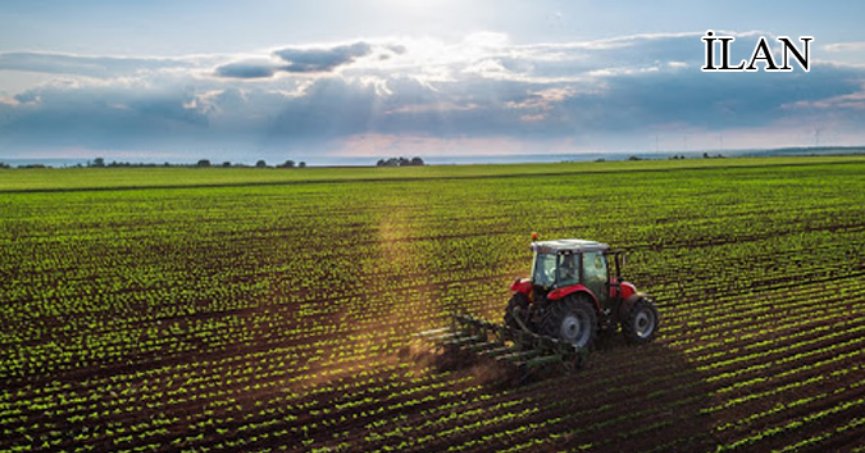 Gölcük’te mahkemeden satılık tarla (çoklu satış)