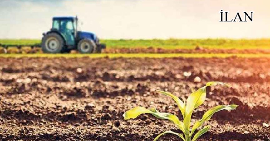 Kandıra'da mahkemeden satılık 5963 m² tarla