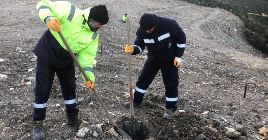 Karamürsel Dereköy’e bin ağaç fidanı dikilecek
