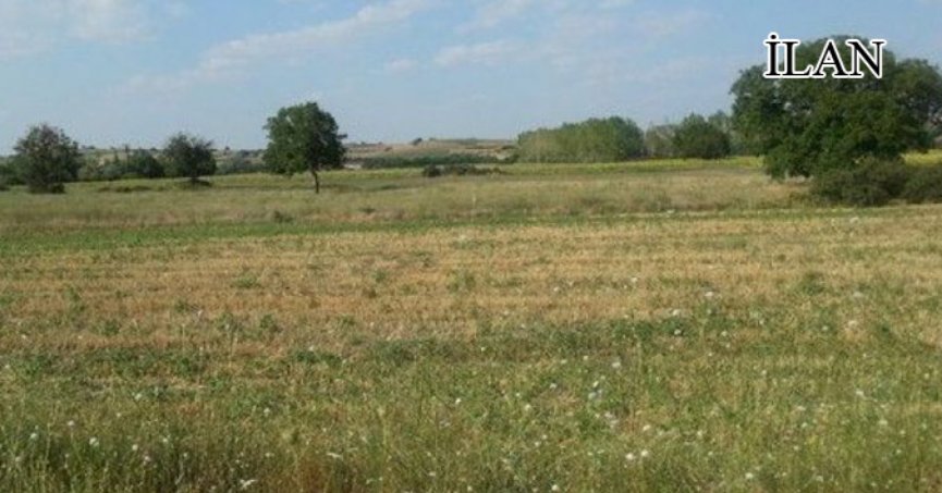 Sakarya’da mahkemeden satılık arsa