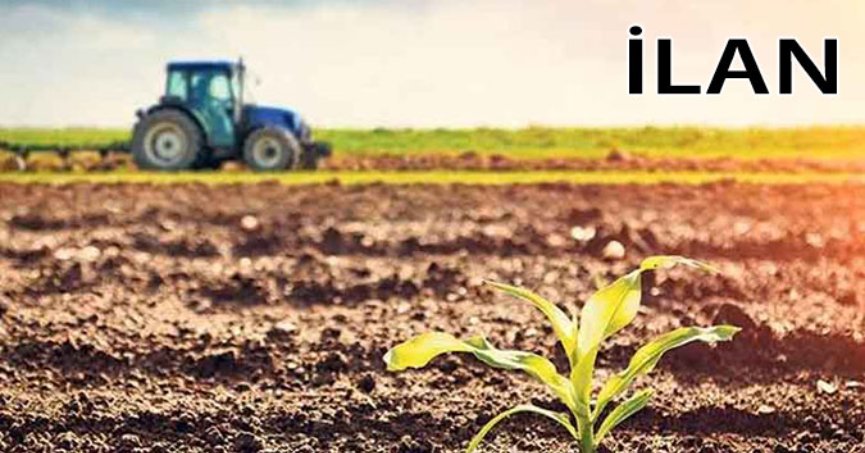 Adapazarı'nda icradan satılık 12109 m² tarla