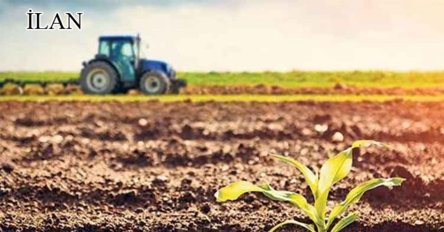 İzmit'te mahkemeden satılık 228 m² tarla (çoklu satış)