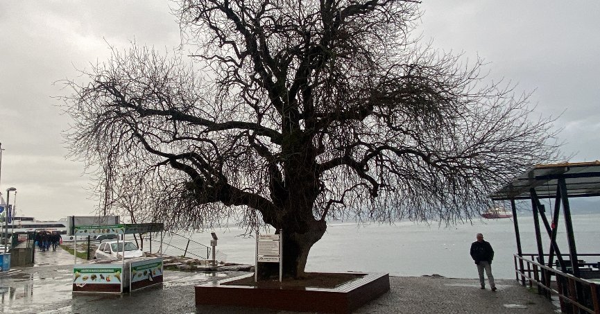 4 buçuk asırdır ayakta duruyor