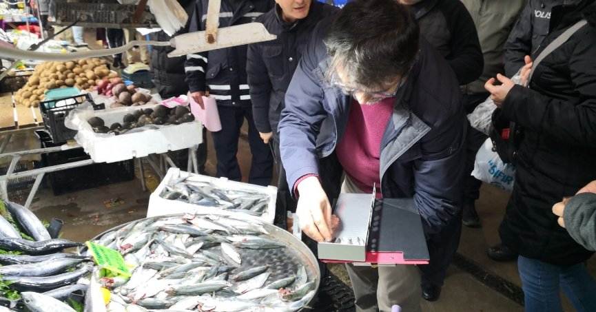 Balık tezgahları denetleniyor