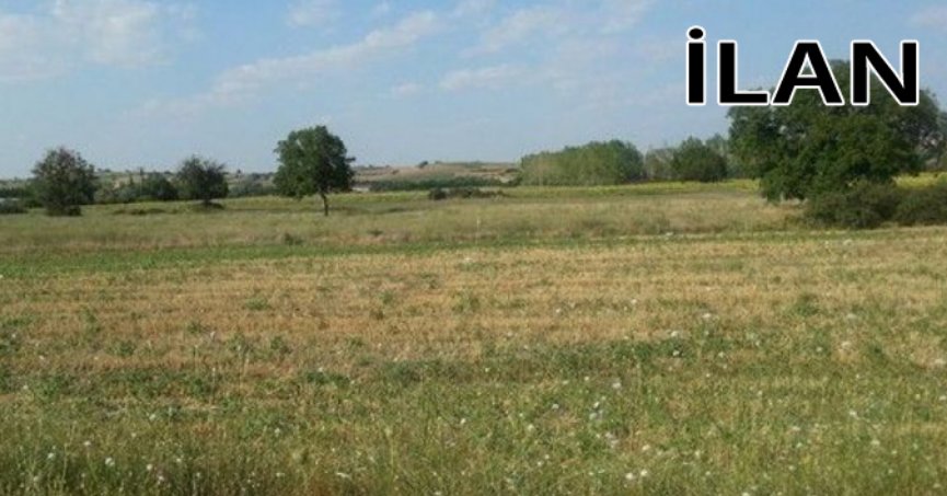 Kandıra'da mahkemeden satılık 1864 m² arsa