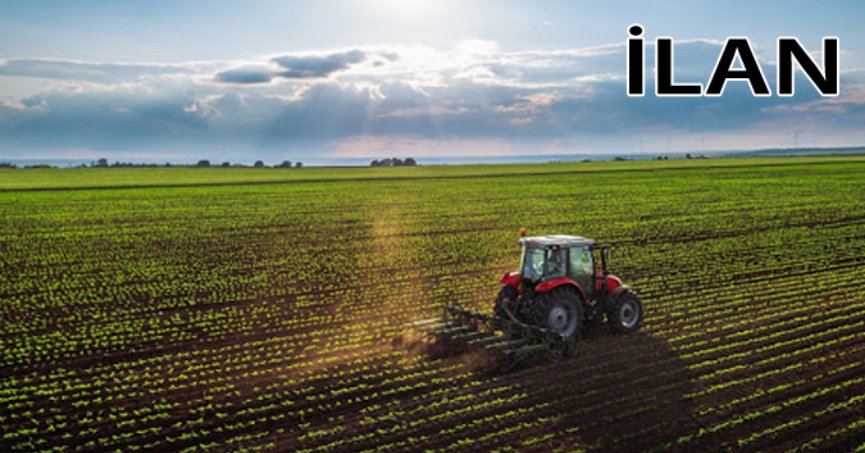 Adapazarı’nda icradan satılık tarla (1/2 hissesi)