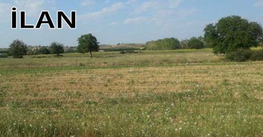 İzmit'te mahkemeden satılık 2700 m² arsa