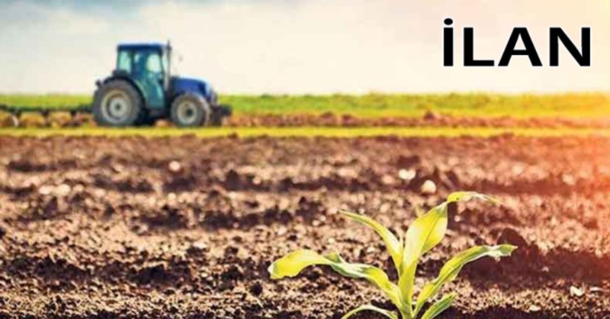 İzmit'te mahkemeden satılık 2304 m² tarla