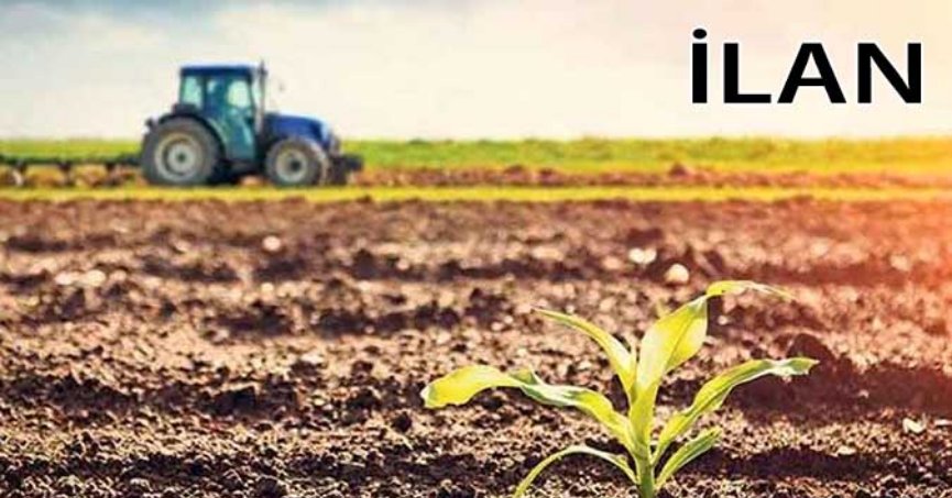 Kandıra'da mahkemeden satılık 2300 m² tarla