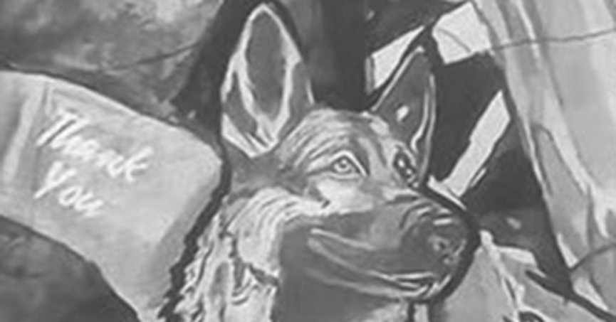 Trabzon’da tek yürek olduk 