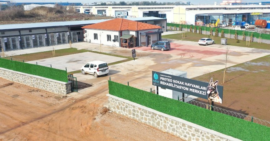 Kahraman köpek Proteo'nun adı Kocaeli'de yaşatılacak