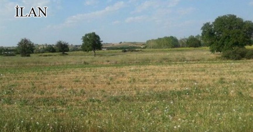 Kartepe'de mahkemeden satılık arsa (çoklu satış)