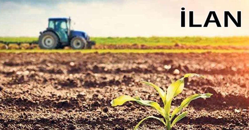 Gölcük'te mahkemeden satılık 509 m² tarla