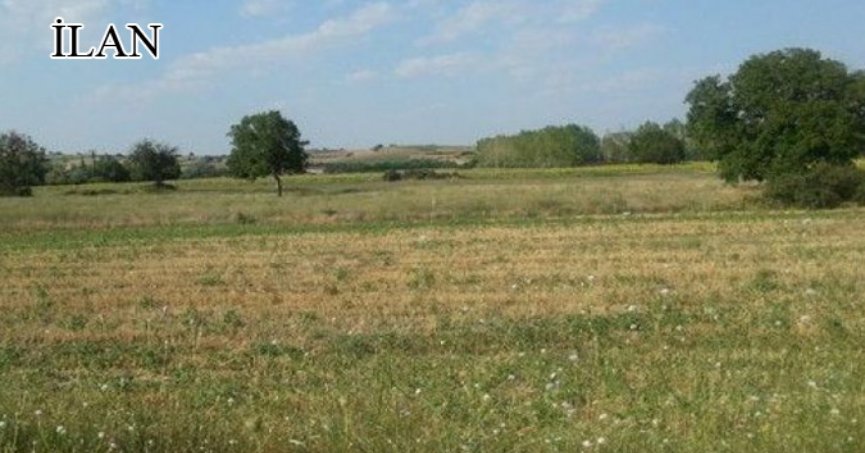 Yalova’da icradan satılık 6.059 m² arsa