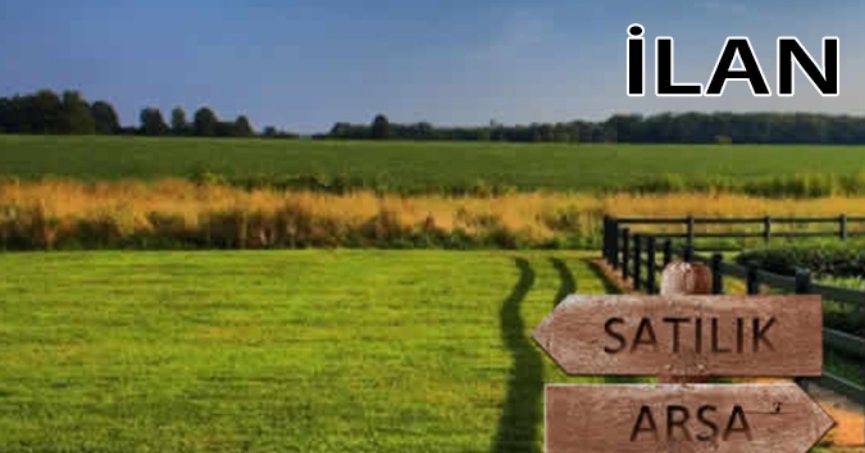 Yalova Altınova'da icradan satılık 12.911 m² arsa