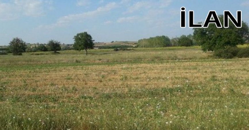 Körfez'de mahkemeden satılık 249 m² arsa