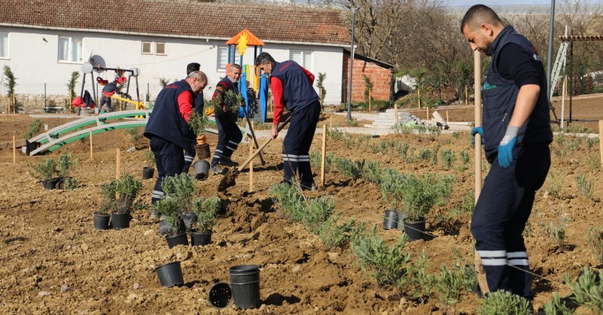 Gündoğdu lavanta ile canlandırılacak