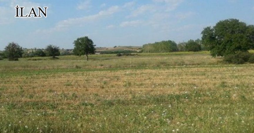 Yalova’da mahkemeden satılık 298 m² arsa