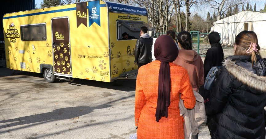 Sokak kedilerine kısırlaştırma karavanı