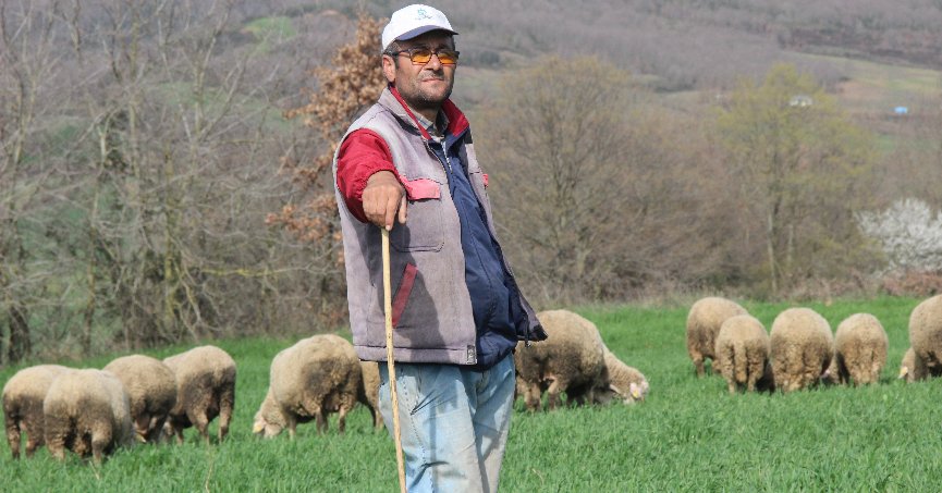 Şehir hayatından sıkılıp çobanlığa başladı