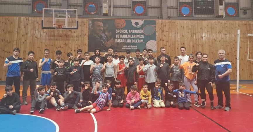 Boksörler çalışıyor