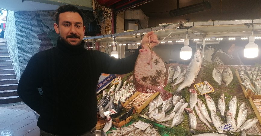 Balık miktarında  artış yaşanıyor