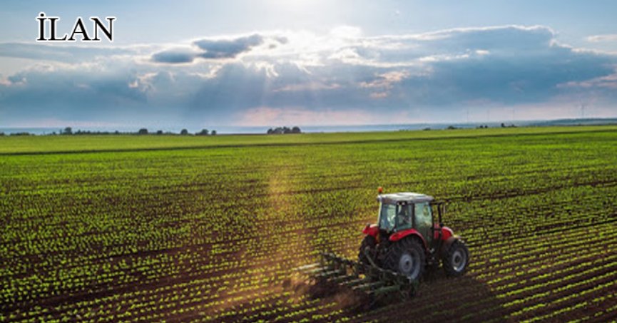 Kandıra'da mahkemeden satılık 797 m² tarla