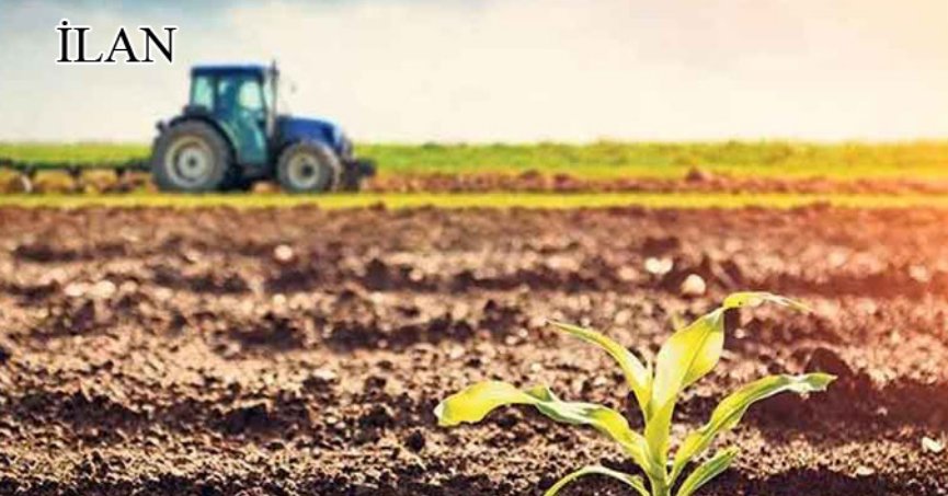 Yalova’da mahkemeden satılık 1.736 m² tarla