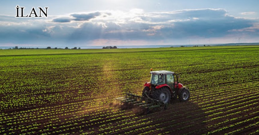 Kandıra’da mahkemeden satılık 6023 m² tarla