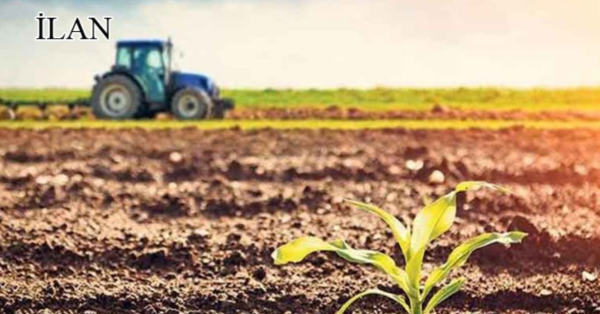 Gölcük’te 2246 m² icradan satılık tarla (hisseli)