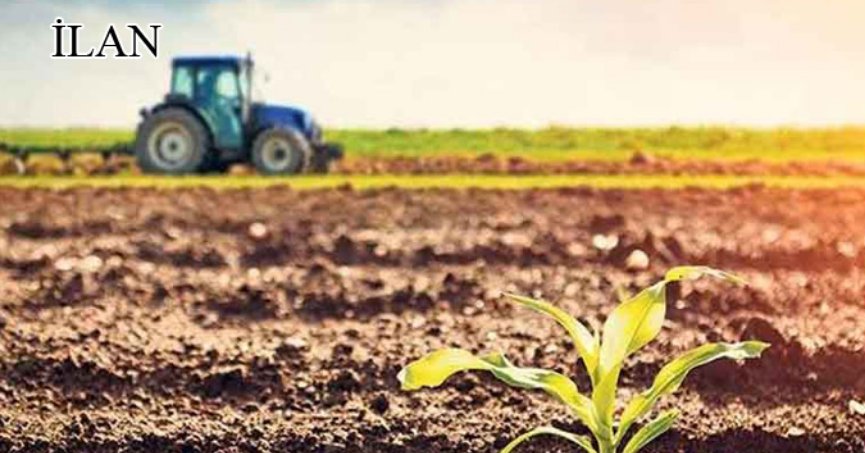 Kandıra’da mahkemeden satılık 6388 m² tarla