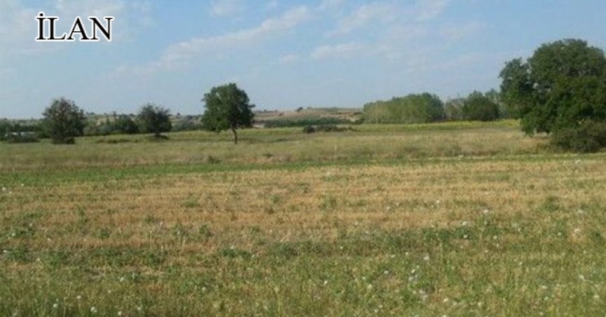 İzmit’te mahkemeden satılık 374 m² arsa