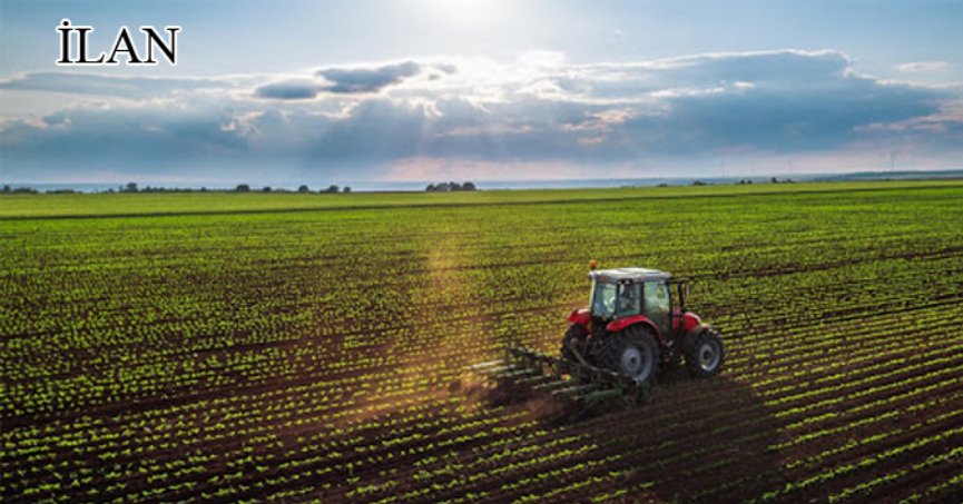 Başiskele’de mahkemeden satılık 4295 m² tarla