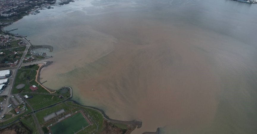 İzmit Körfezi kahverengiye büründü