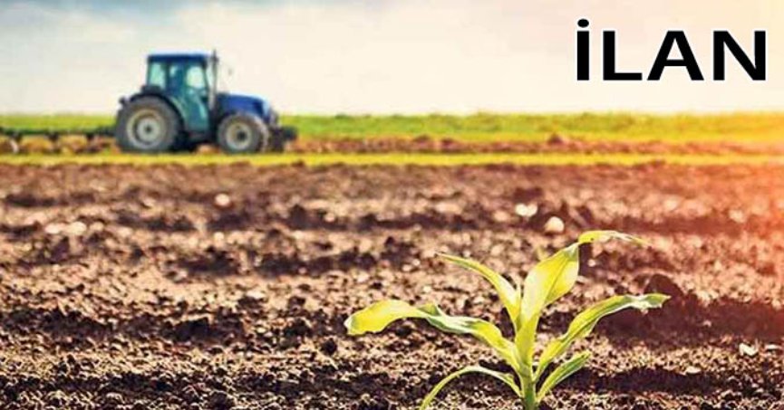 İzmit'te mahkemeden satılık 3937 m² tarla