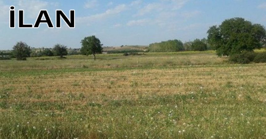 İzmit’te mahkemeden satılık 1838 m² (hisseli) arsa