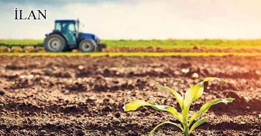 Sakarya’da mahkemeden satılık 2320 m² tarla