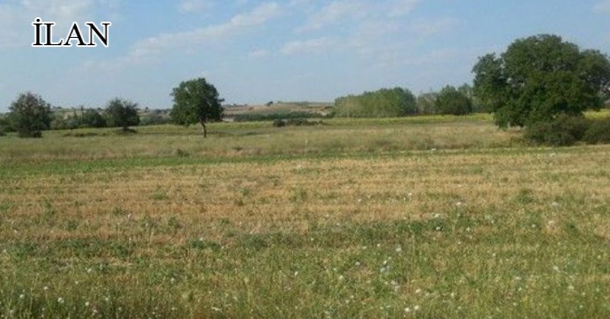 Yalova’da mahkemeden satılık 2.755 m² arsa