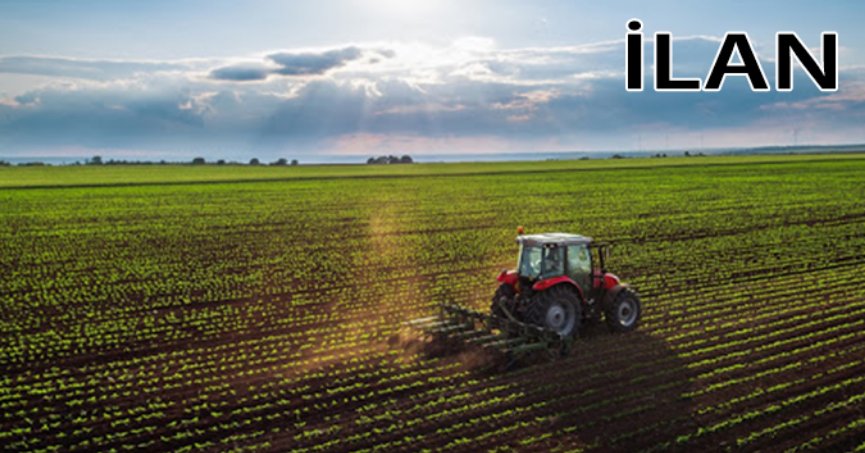 Kartepe’de mahkemeden satılık 2794 m² tarla(çoklu satış)