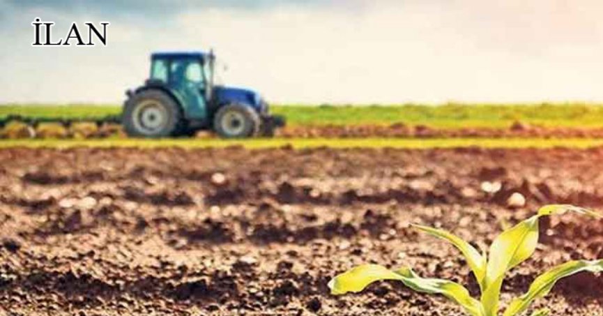 Dilovası’nda mahkemeden satılık 5428 m² tarla