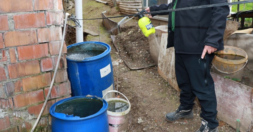 Sivrisineksiz yaz için  hazırlık çalışmaları