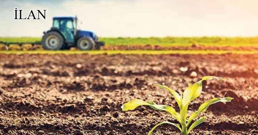 İzmit'te mahkemeden satılık 4381 m² tarla