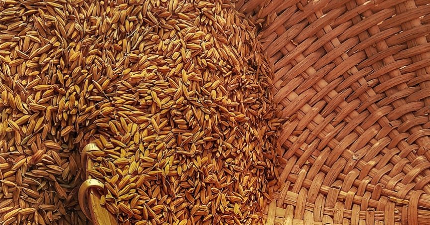 FAO: Küresel gıda fiyatları düşüşünü 12’nci aya taşıdı