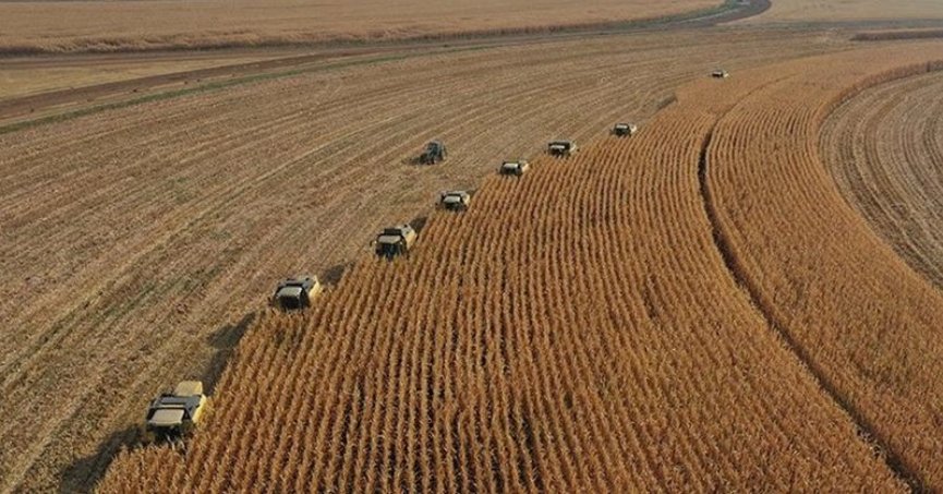 TİGEM tarihi rekor kırdı