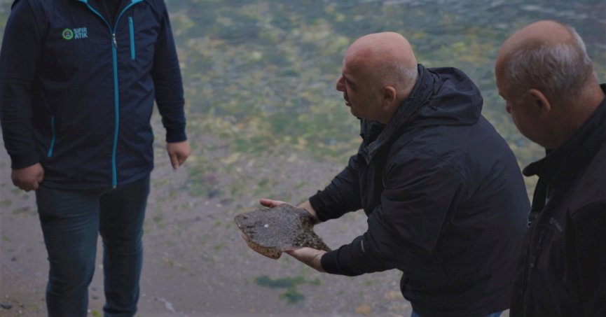 Balıkçıların ağına takılan kalkan balığı tekrar denize salındı